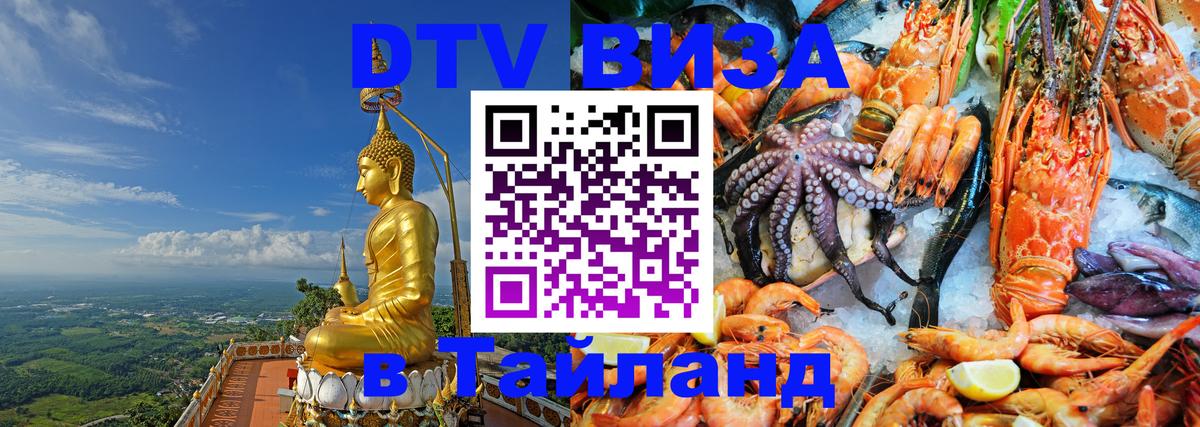 Оформление DTV визы под ключ: стоимость и тарифы, только загранпаспорт - 18.11.2025 